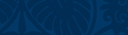 Banner-dblue